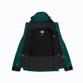 Jaqueta The North Face GORE-TEX - Verde